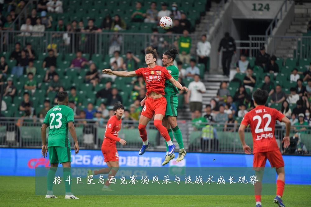 格斗巨星乌西克赛场风采与技战术成长观察